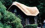 Thatching - Alan Lewis - Master Thatcher