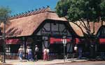 Thatching - Alan Lewis - Master Thatcher