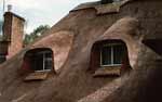 Thatching - Alan Lewis - Master Thatcher