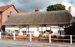 Thatching - Alan Lewis - Master Thatcher